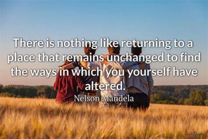 38 Quotes About Old Friends Reuniting ·