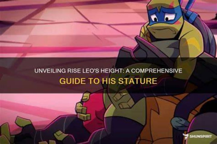A Comprehensive Guide To His Stature