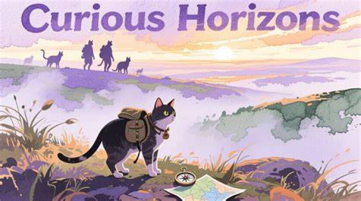 A Haven For Feline Lovers And Curious Explorers