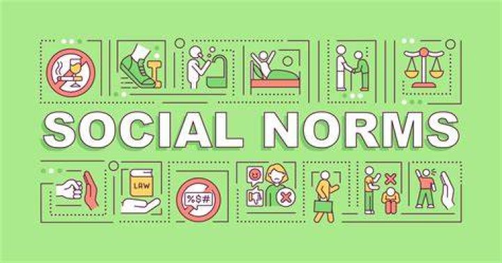 A Journey Into Privacy, Accuracy, And Societal Norms