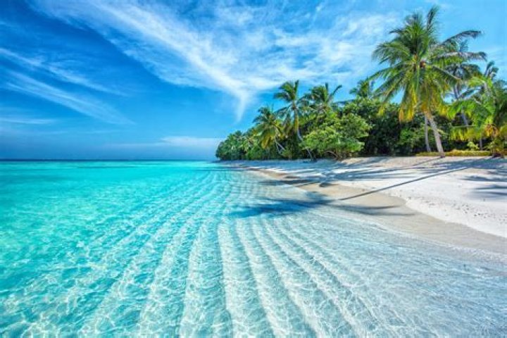 A View from the Beach NYPD's Bluest Kim Delaney