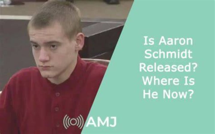 Aaron Schmidt Released Who Murdered His ExGirlfriend? Business