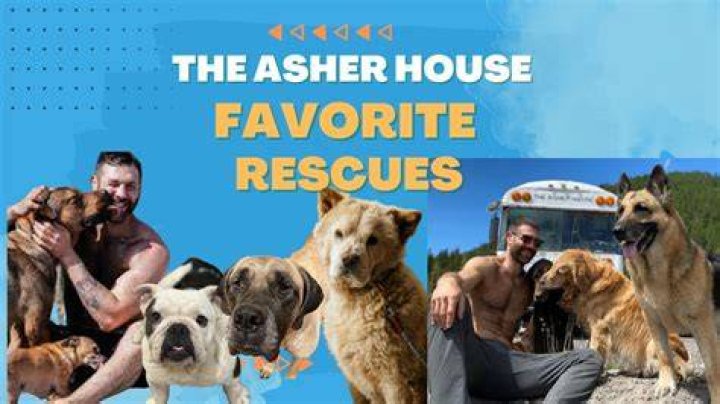 asher house dogs sammy Lala Keck