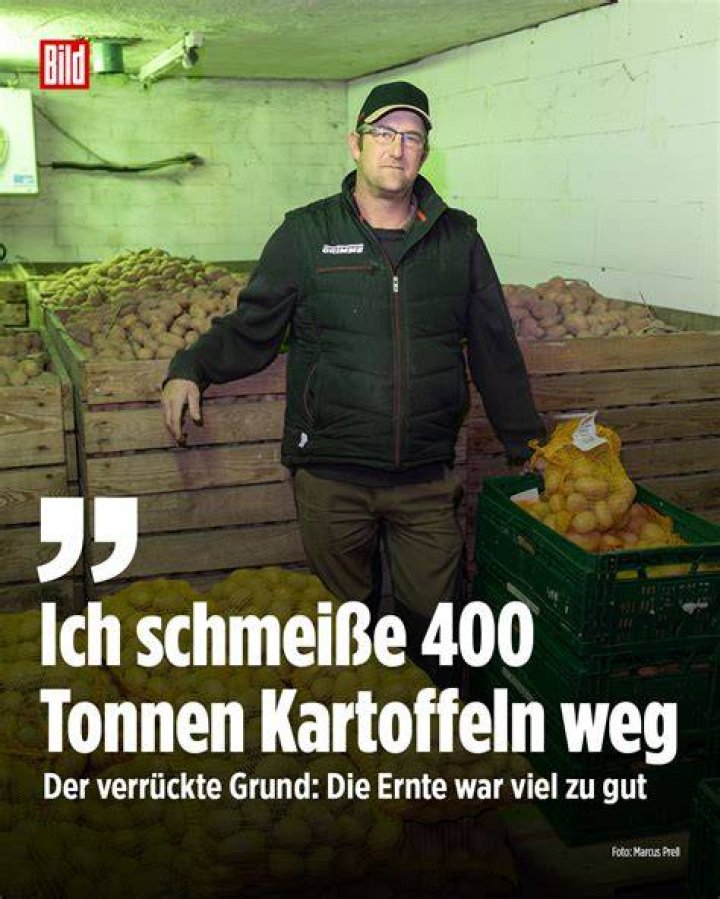Bild zu Facebook KIExperte Yann LeCun fordert Informatik als