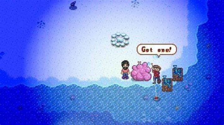 ConcernedApe Takes Over Stardew Valley Mobile Publishing TechRaptor