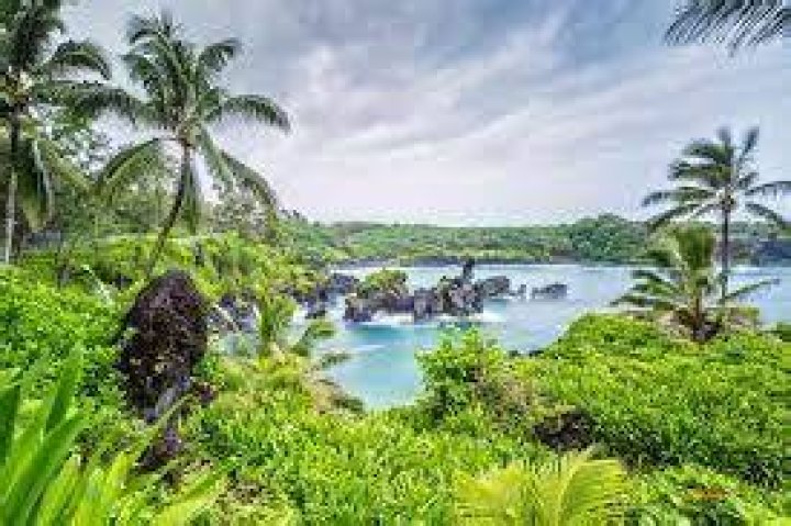 Discover The Enchanting World Of Celebrities In Hawaii: A Haven Of Tranquility