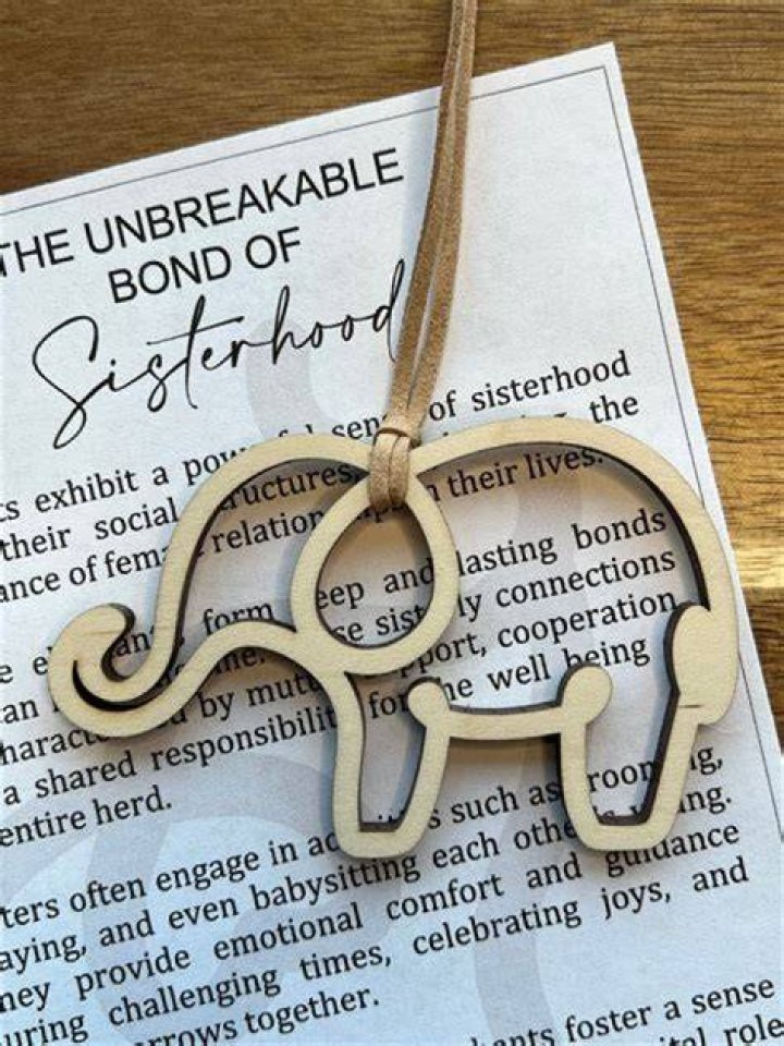 Discover The Unbreakable Bond And Inspiring Successes Of The Mardenborough Siblings