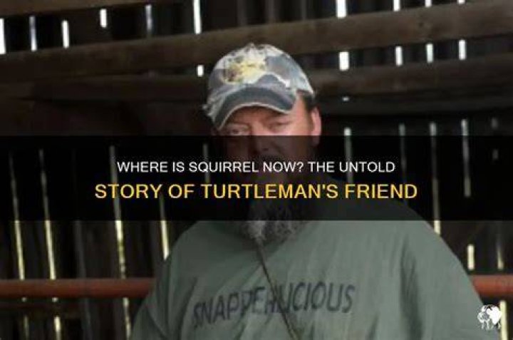 Discoveries And Insights Behind "What Happened To Turtleman"