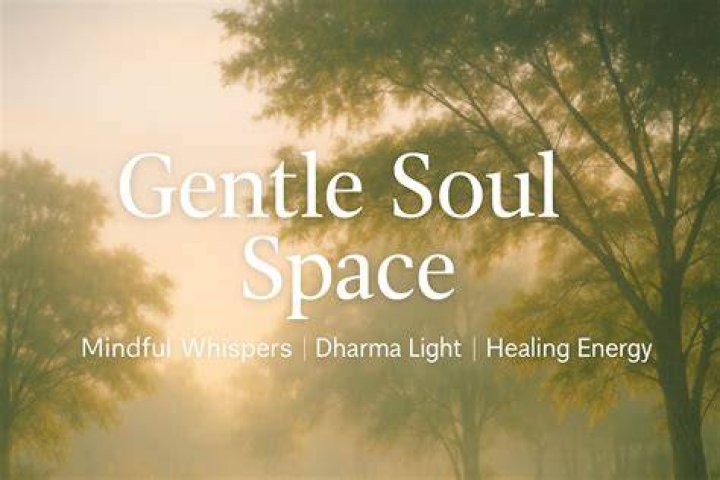 Discoveries And Insights For The Serene Soul Space