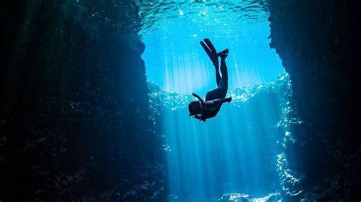 Dive Into The World Of Michael Saucedo And Rebecca Herbst: Uncovering Hidden Gems