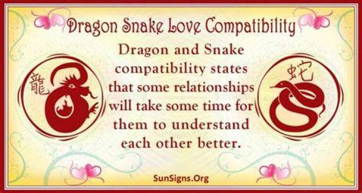 Dragon Snake Love Compatibility. The dragon and snake love compatibility will be excellent in a romantic relationship. 