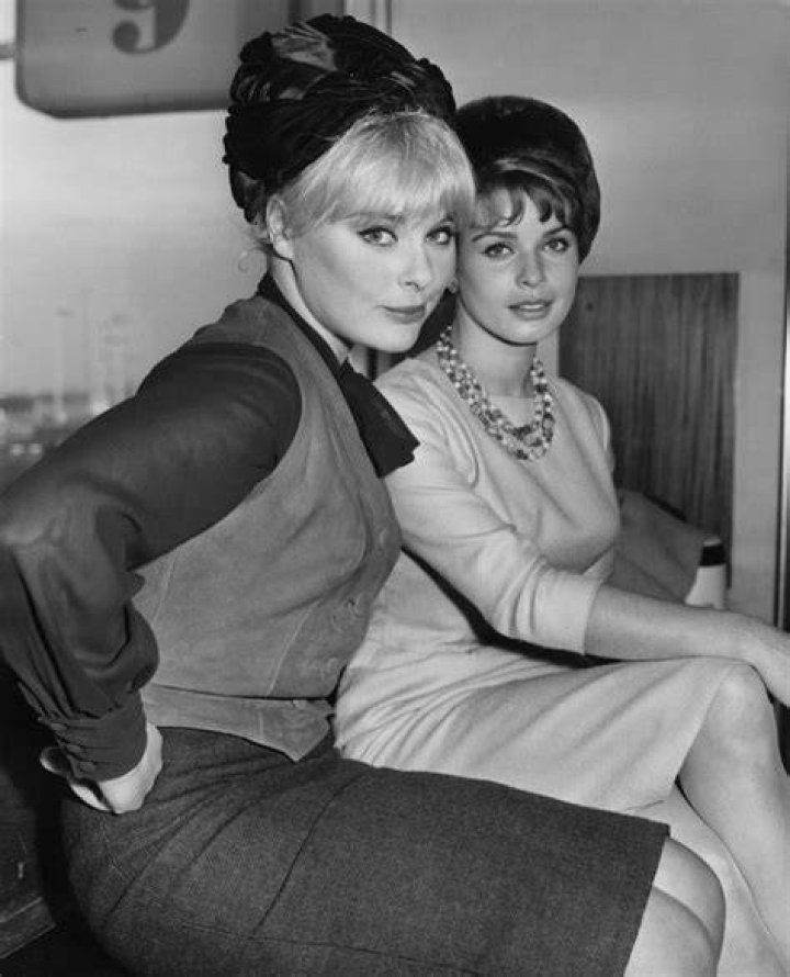 Elke Sommer Bio, Wiki, Age, Height, Family, Husband, Movies, and Net Worth. ·