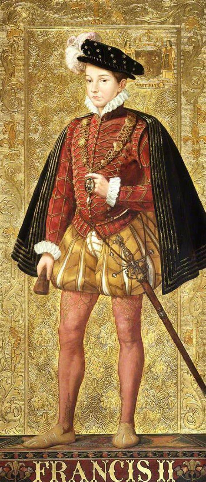 Francis II Of France Biography Facts, Childhood, Family Life