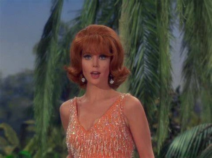 Ginger Gilligans Island Obsessed Pinterest