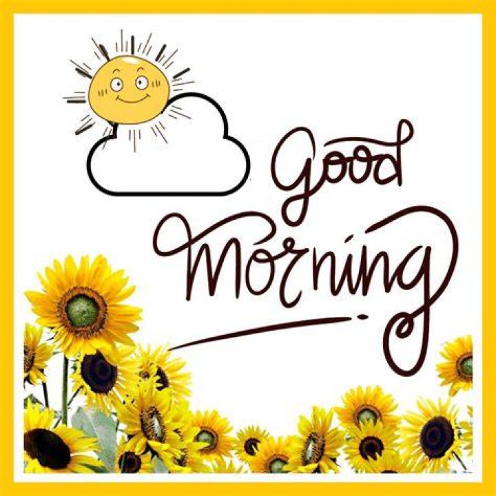 Good Morning Gif IceGif
