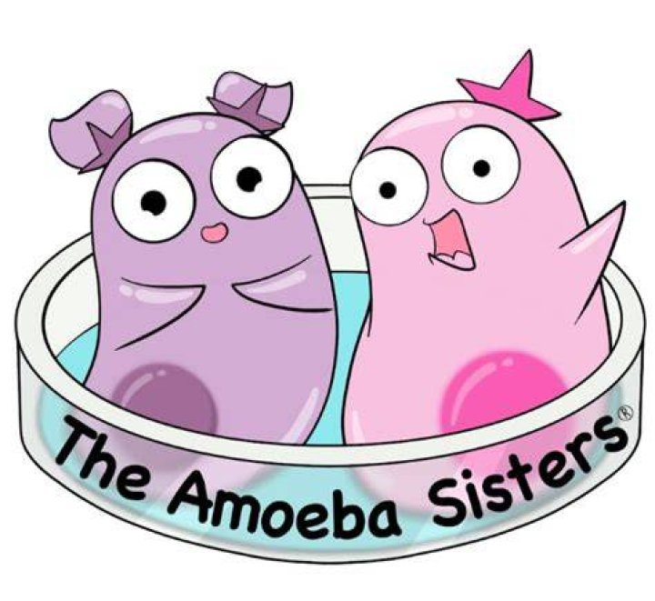 Has Amoeba Sisters Done A Face Reveal?