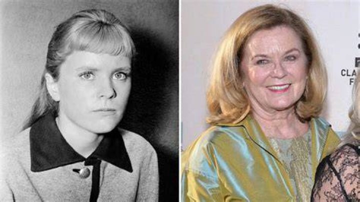 Heather Menzies - ZingDash