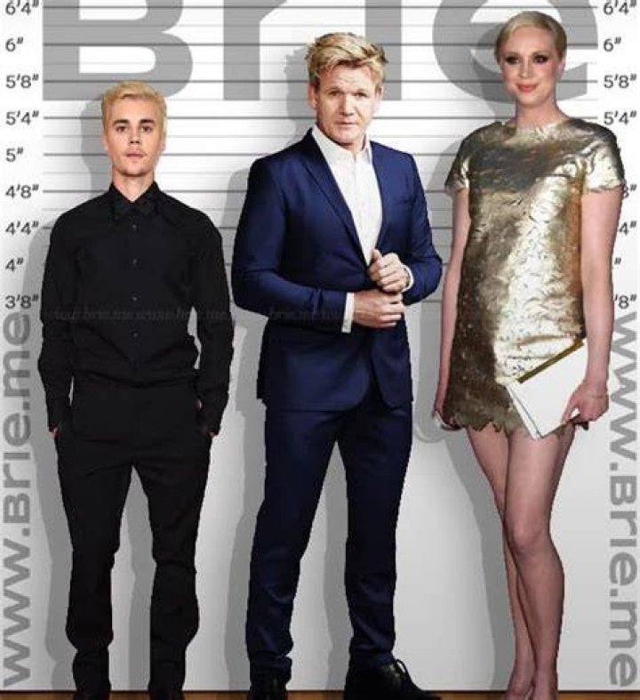 How Tall Is Gordon Ramsay? Gordon Ramsay Height, Age, Weight And Much