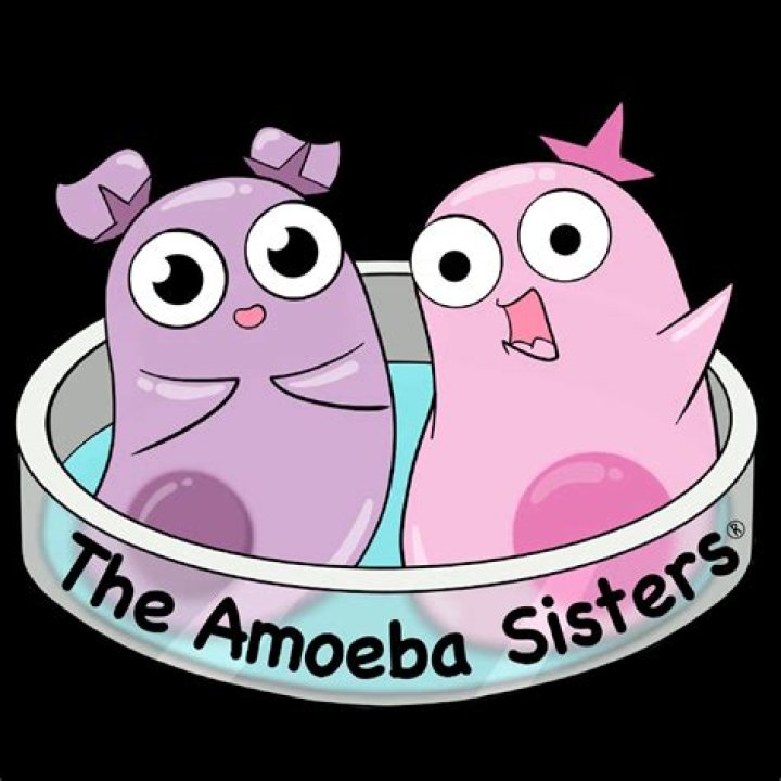 How Twitch Fans Engage With Amoeba Sisters: A Community Reaction
