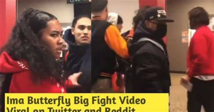 Ima Butterfly Fight Video Original Goldsport