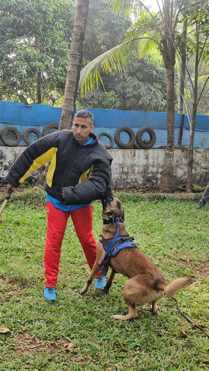 Image of American-Mexican dog trainer, Cesar Millan