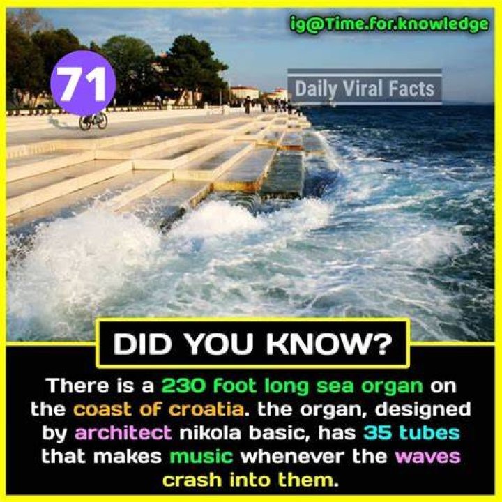 Interesting Facts That You Should Know |