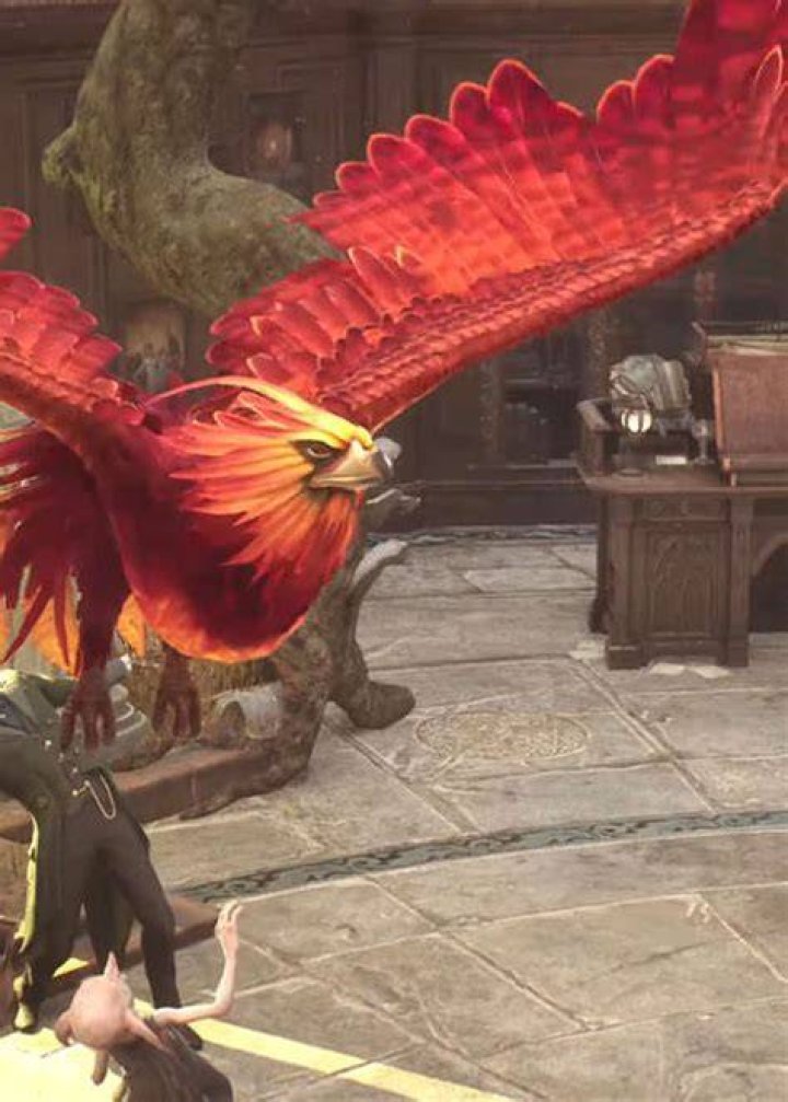 Is there only 1 Phoenix in Hogwarts Legacy?