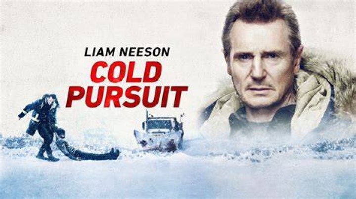 Liam Neeson Cold Pursuit star discusses acting career and family The