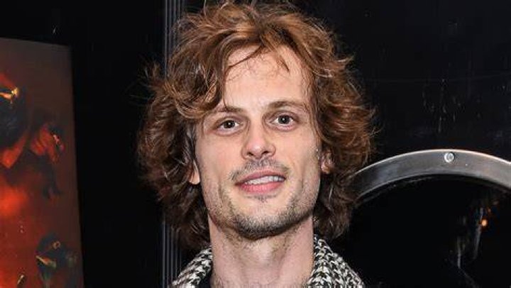 Matthew Gray Gubler's Marital Status And Personal Choices