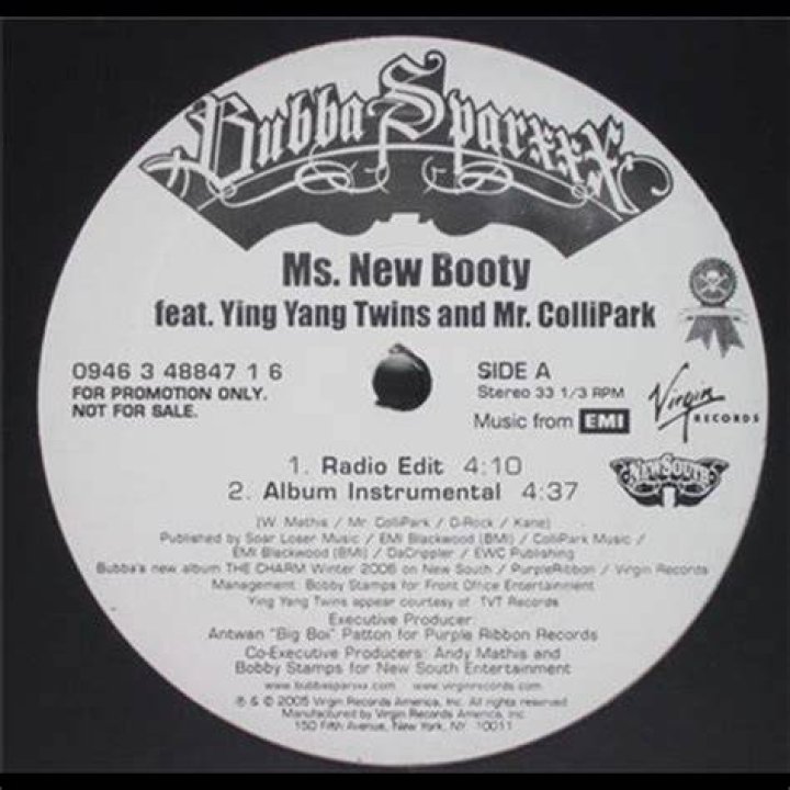 Ms. New Booty (feat. Bubba Sparxxx)