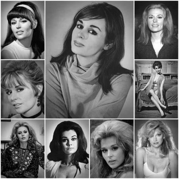 Pin on MUSE 1942 Marianna Hill (5'4")