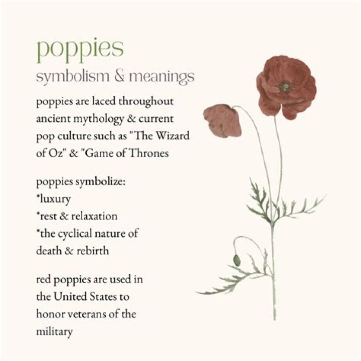 Poppy symbolism