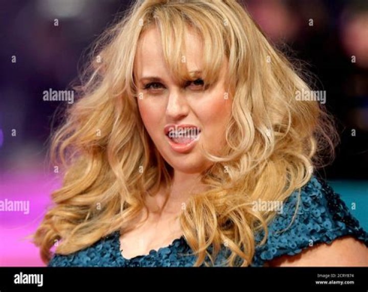 Rebel Wilson's LookAlike Mom Flew to Hold Her Grandkid &mdash; She Was the