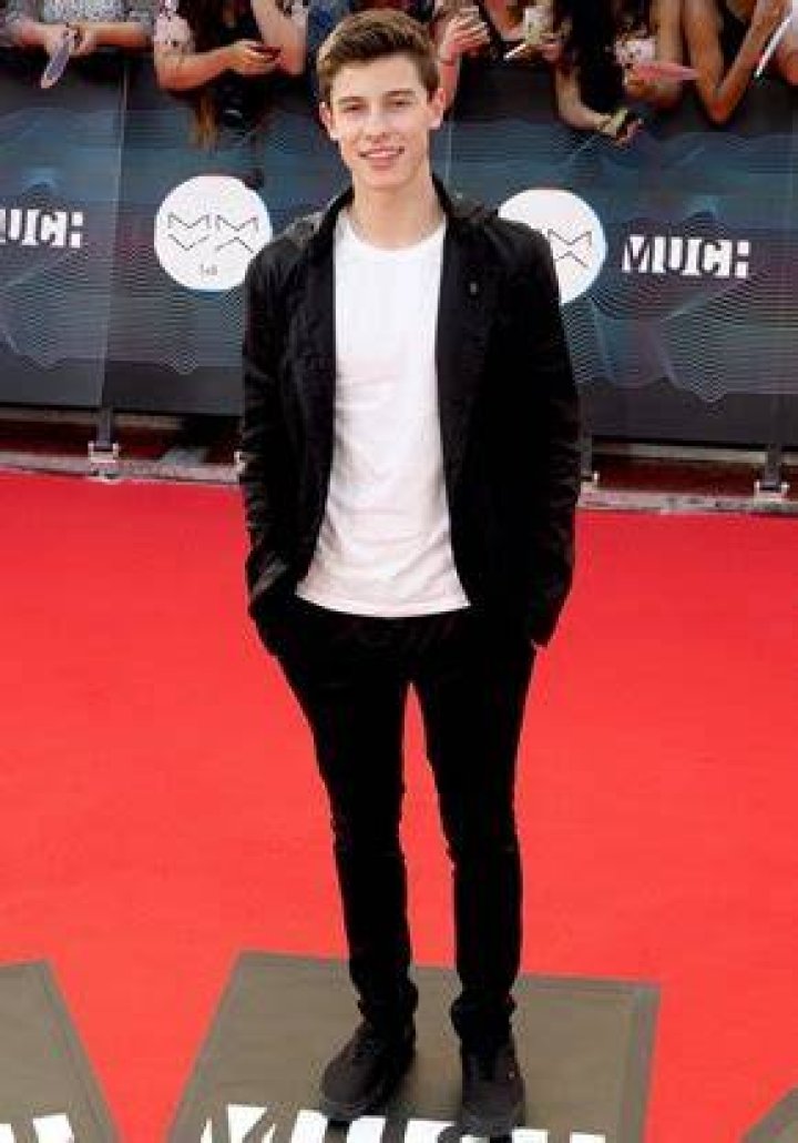 Shawn Mendes Body Statistics, Height and Weight Measurements