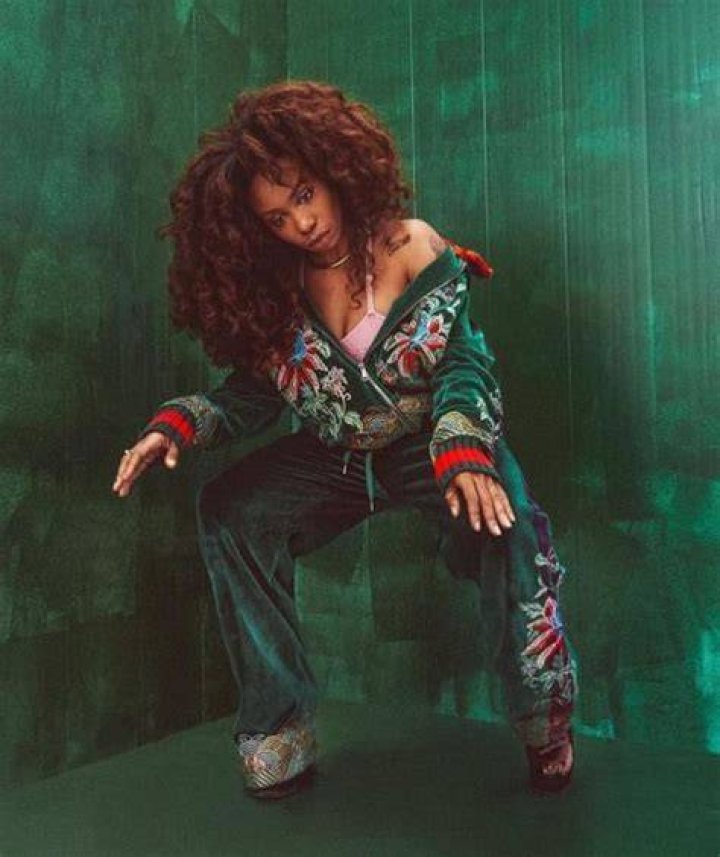 SZA Supporter Black Girl Art, Art Girl, Solana Rowe, Oscar Red Carpet