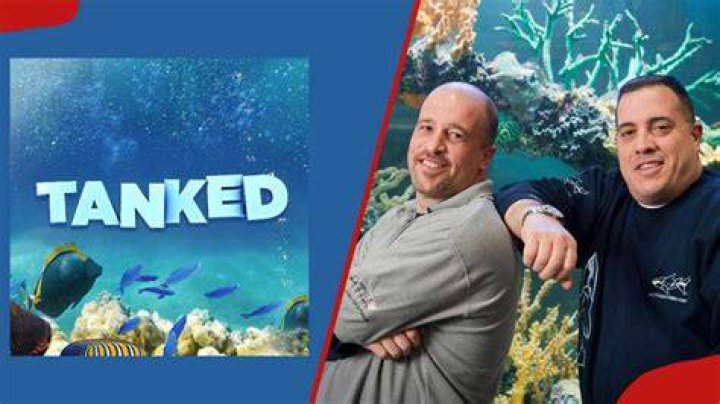 Tanked TV show cast partners, net worth, what you should know Tuko.co.ke