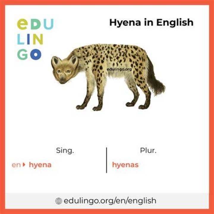 The Plural Of Hyena Interesting Quotes By Famous People With Big Noses