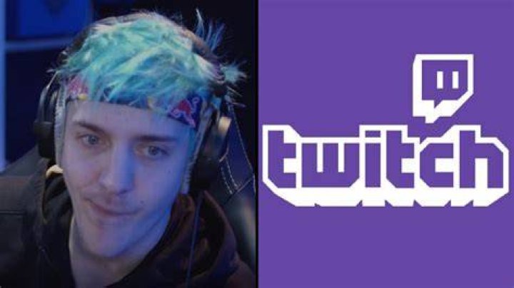 The Twitch Fandom Reacts To Amoeba Sisters Face Reveal TG Time