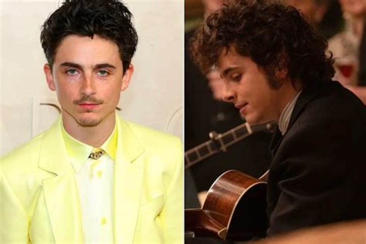 Timoth&eacute;e Chalamet Admits to 'Feeling Embarrassed' by Those Photos of