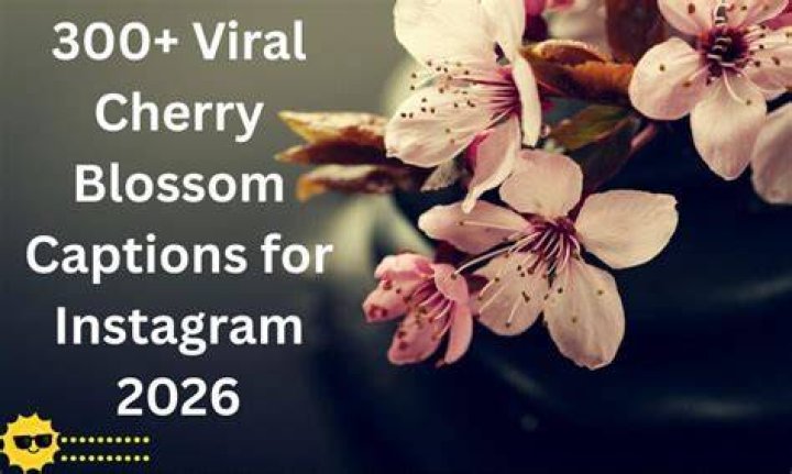 Unlock The Secrets Of Cherry Blossom Instagram Captions: A Photographer's Guide To