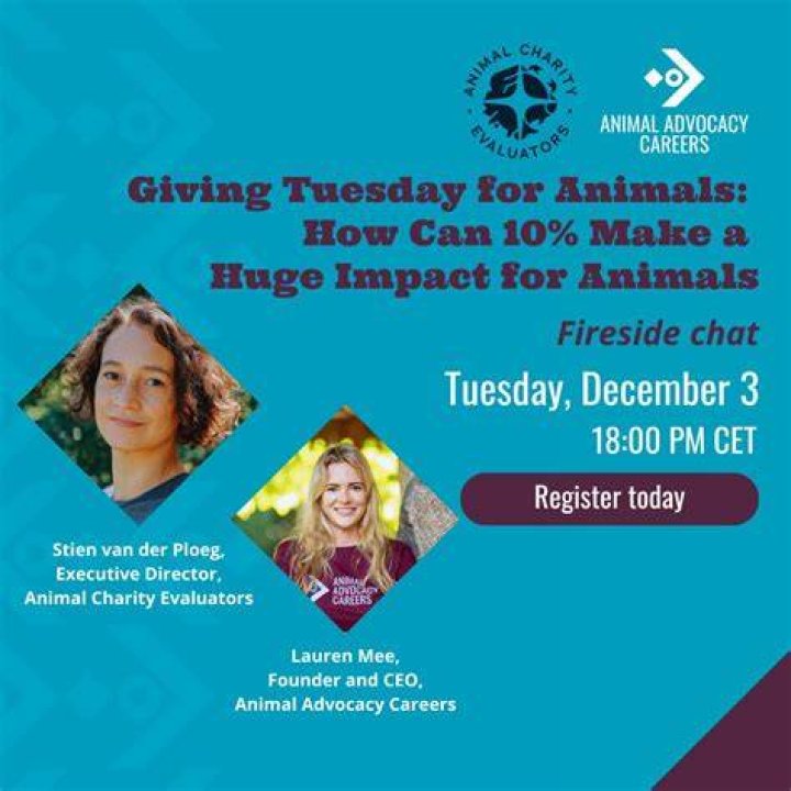 Unveiling Her Passion, Animal Advocacy, And Impact