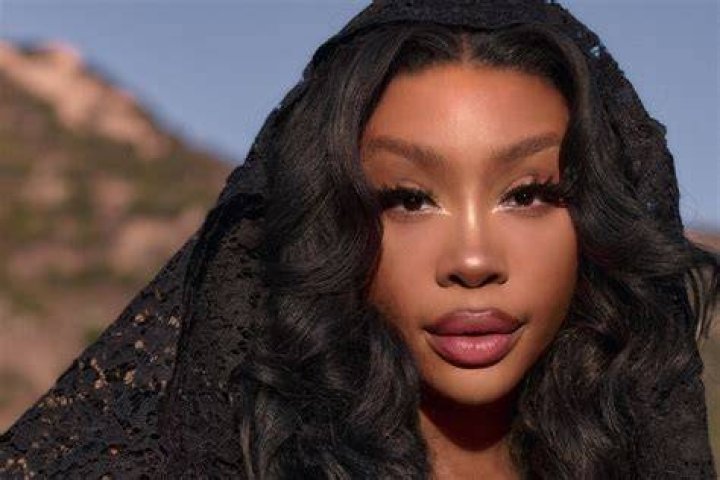 Unveiling SZA's Family Plans: Exploring Insights And Discoveries