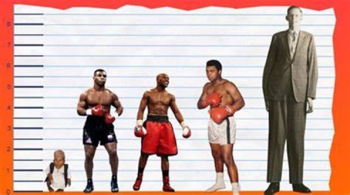Unveiling The Enigma: Adam Rodriguez's Height Unveiled