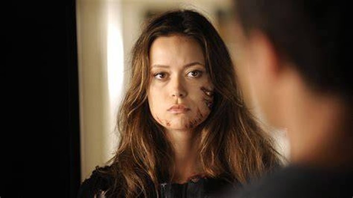 Unveiling The Enigma Of Summer Glau's Terminator