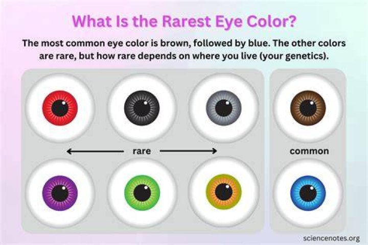 Unveiling The Rarest Hair And Eye Color Combinations: A Journey Of Discovery