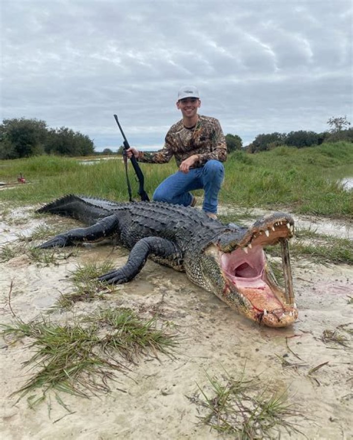 Unveiling The Secrets Of Alligator Hunting