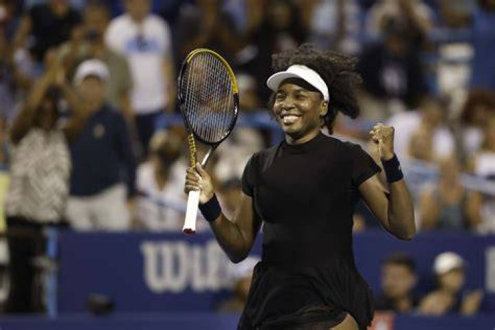 Venus Williams Career Insight Venus Williams Career Insight