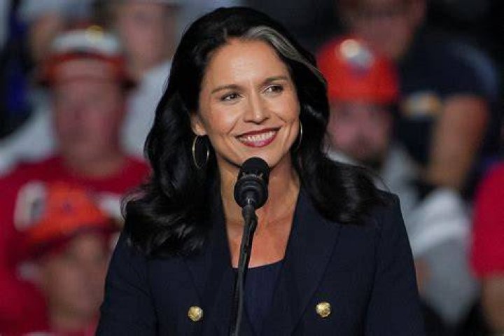 What Happened To Tulsi Gabbard? Citizens Are Curious About Her Grey Hair And Face Changes- Here's Wh