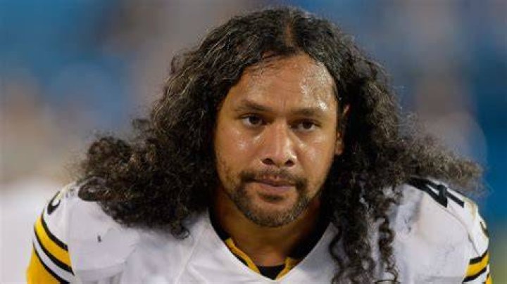 What Is Troy Polamalu Doing Now? Nationality, Wife, Net Worth, Hair