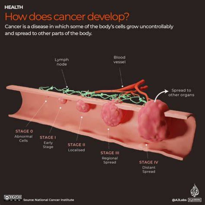 What Kind Of Cancer Does Damaris Phillips Have?